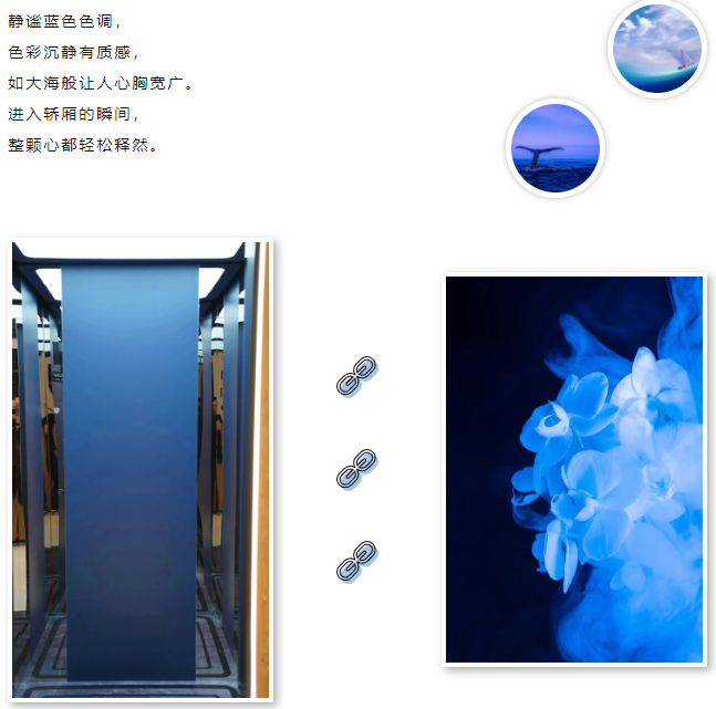 新品推荐 | 必赢76net线路电梯解锁艺术蓝|必赢76net线路电梯官网