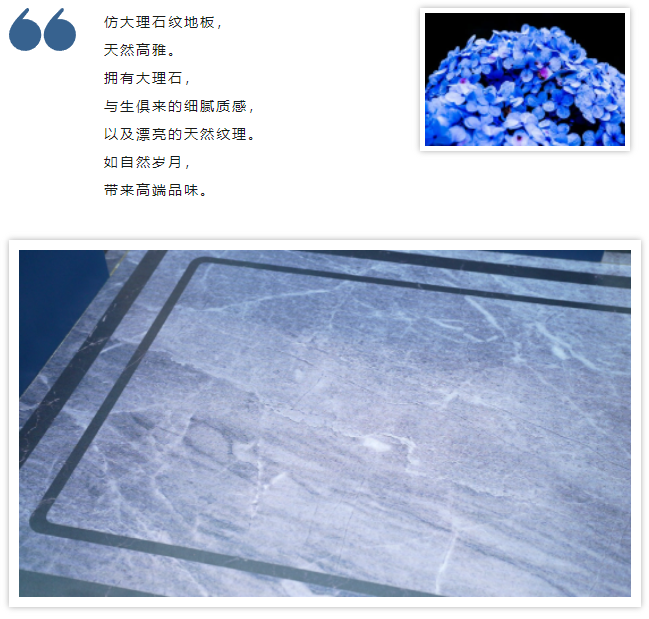 新品推荐 | 必赢76net线路电梯解锁艺术蓝|必赢76net线路电梯官网