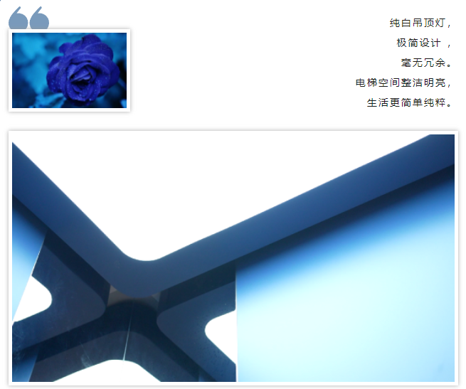 新品推荐 | 必赢76net线路电梯解锁艺术蓝|必赢76net线路电梯官网