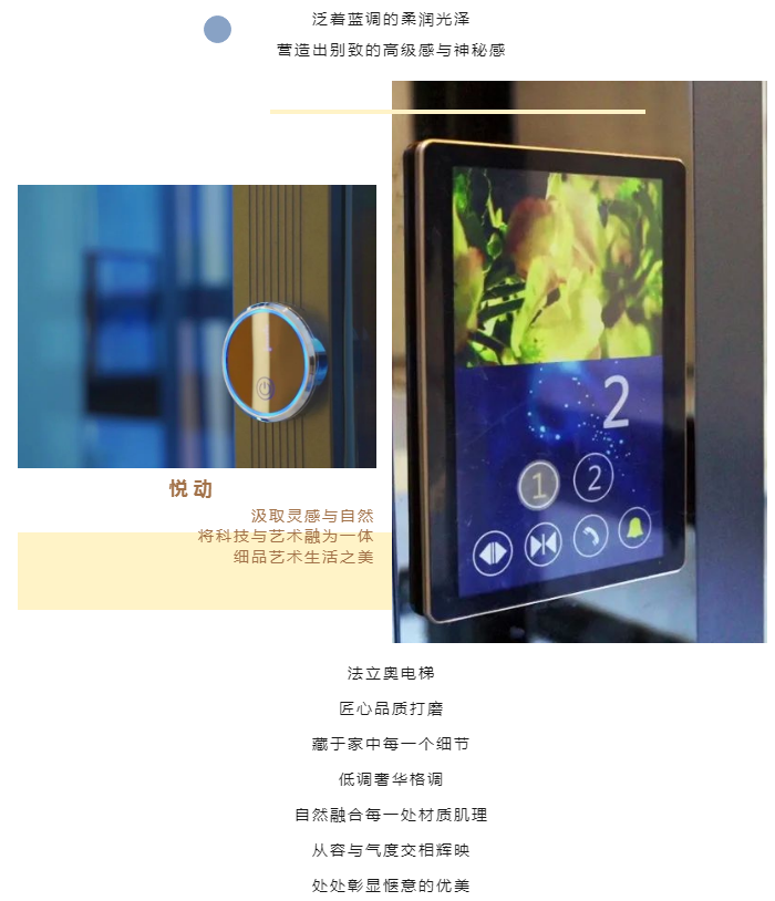 奢华别墅电梯