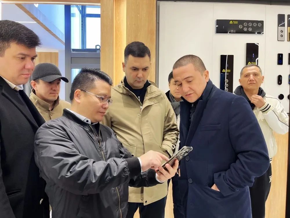 高端别墅旅行电梯